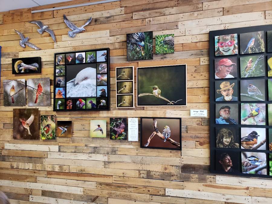 Current art exhibit