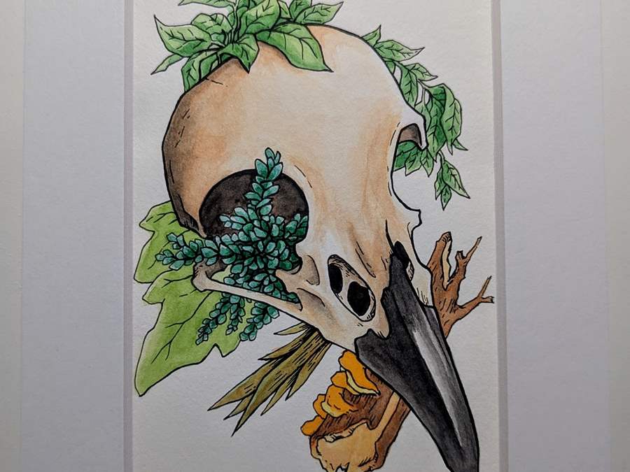 Art 27