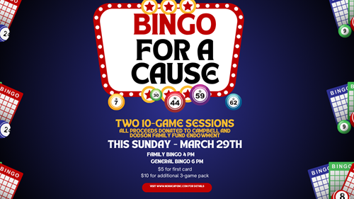 Bingo for a Cause