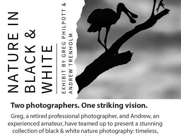 Greg and Andrew Flyer