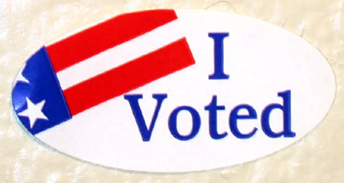I voted